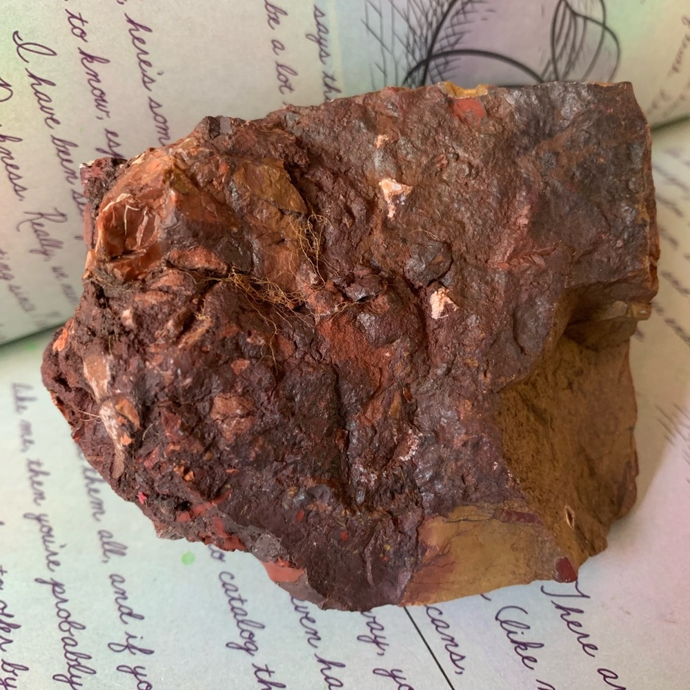 Beautiful piece of Petrified Redwood tree mineral stone display specimen - Picture 8 of 11